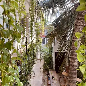 Anana Coliving Locanda Playa del Carmen